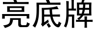 亮底牌 (黑體矢量字庫)