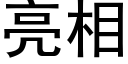 亮相 (黑体矢量字库)