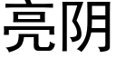 亮阴 (黑体矢量字库)