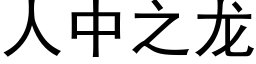 人中之龙 (黑体矢量字库)