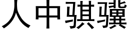 人中骐骥 (黑体矢量字库)