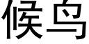 候鸟 (黑体矢量字库)