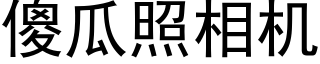 傻瓜照相机 (黑体矢量字库)