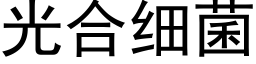 光合细菌 (黑体矢量字库)