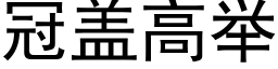 冠蓋高舉 (黑體矢量字庫)