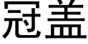 冠盖 (黑体矢量字库)