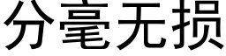 分毫无损 (黑体矢量字库)