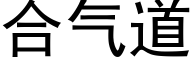 合气道 (黑体矢量字库)