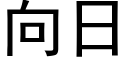 向日 (黑體矢量字庫)