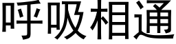 呼吸相通 (黑体矢量字库)