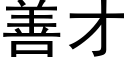 善才 (黑體矢量字庫)