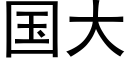 國大 (黑體矢量字庫)