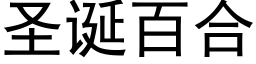 圣诞百合 (黑体矢量字库)