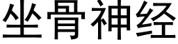 坐骨神经 (黑体矢量字库)