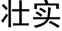 壮实 (黑体矢量字库)