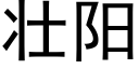 壮阳 (黑体矢量字库)