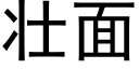 壮面 (黑体矢量字库)