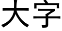 大字 (黑體矢量字庫)