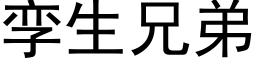 孪生兄弟 (黑体矢量字库)