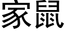 家鼠 (黑体矢量字库)