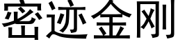 密迹金剛 (黑體矢量字庫)