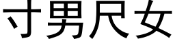 寸男尺女 (黑体矢量字库)