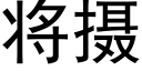 将攝 (黑體矢量字庫)