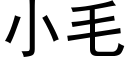 小毛 (黑體矢量字庫)