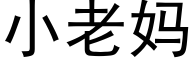 小老妈 (黑体矢量字库)