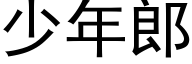 少年郎 (黑体矢量字库)