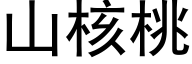 山核桃 (黑体矢量字库)