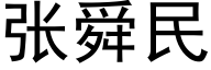 张舜民 (黑体矢量字库)