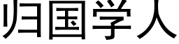 归国学人 (黑体矢量字库)