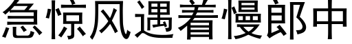 急驚風遇着慢郎中 (黑體矢量字庫)