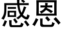 感恩 (黑體矢量字庫)