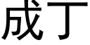 成丁 (黑体矢量字库)