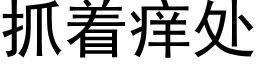 抓着痒处 (黑体矢量字库)