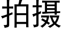 拍摄 (黑体矢量字库)