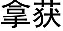 拿获 (黑体矢量字库)