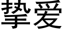 摯愛 (黑體矢量字庫)