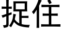 捉住 (黑體矢量字庫)