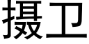 攝衛 (黑體矢量字庫)