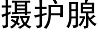 摄护腺 (黑体矢量字库)