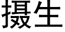 攝生 (黑體矢量字庫)