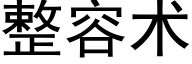 整容術 (黑體矢量字庫)