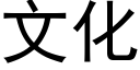 文化 (黑體矢量字庫)