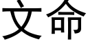 文命 (黑體矢量字庫)