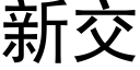 新交 (黑體矢量字庫)