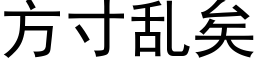 方寸乱矣 (黑体矢量字库)