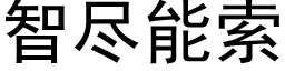 智盡能索 (黑體矢量字庫)